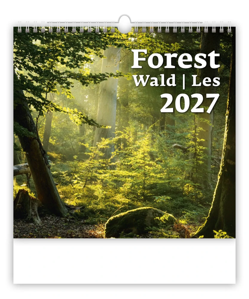 Kalendář nástěnný Forest N171