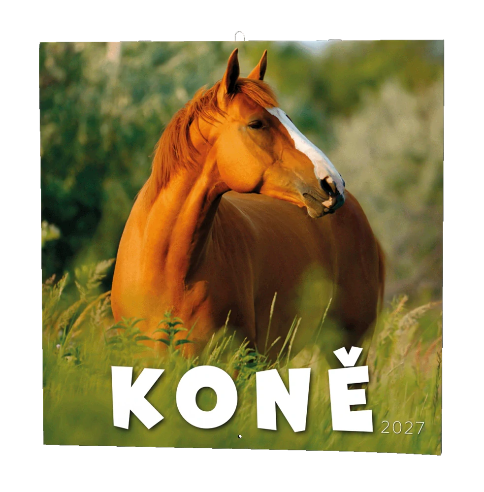 Kalendář nástěnný Koně BNL3