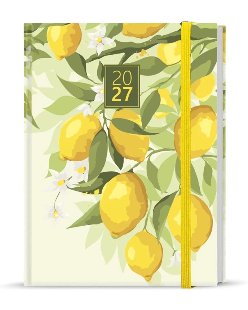 Diář týdenní B6 Lamino - Citron - blok Prokop
