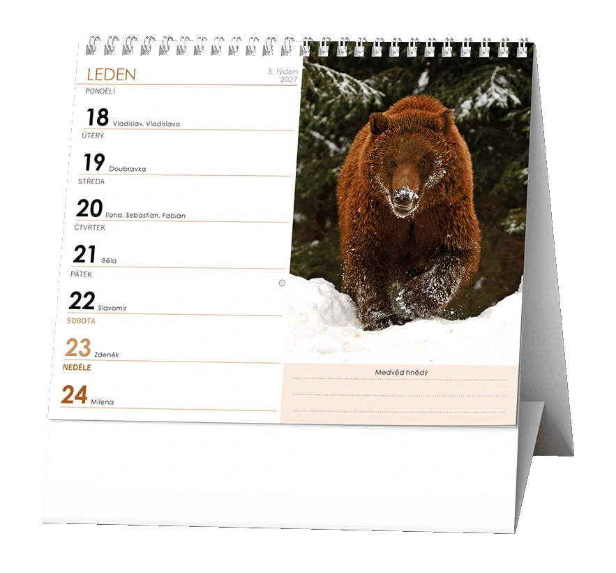 Kalendář stolní Zvířátka celého světa BSJ6