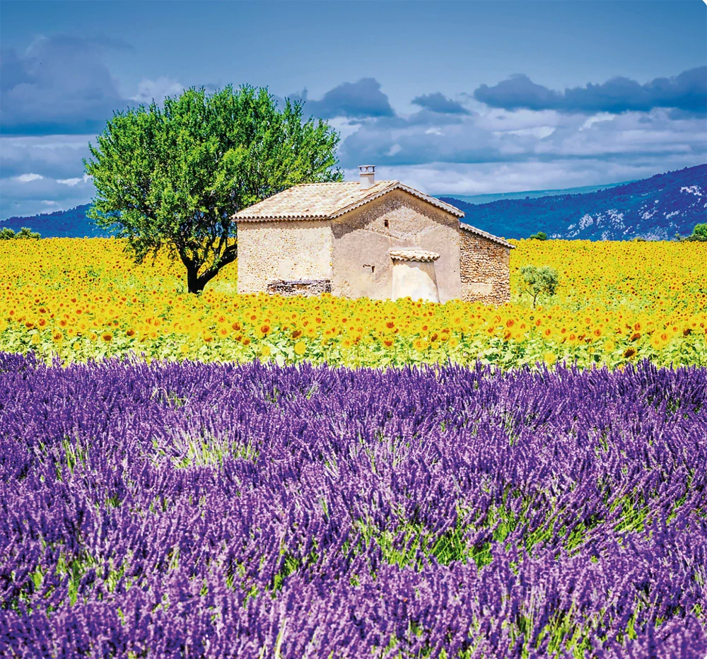 Kalendář nástěnný Provence - Vázanka