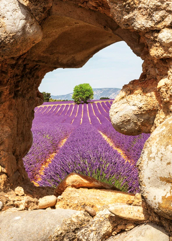 Kalendář nástěnný Provence BNG14