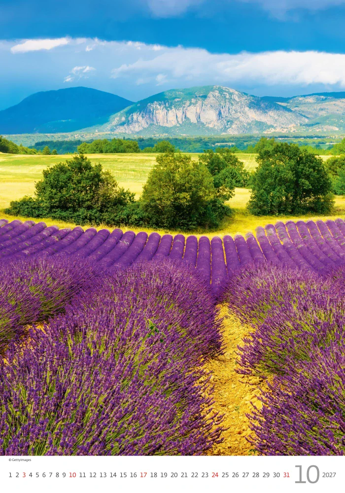 Kalendář nástěnný Provence N142