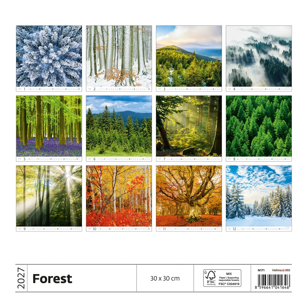 Kalendář nástěnný Forest N171