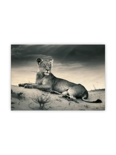 Dřevěný obraz Lioness