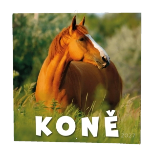 Kalendář nástěnný Koně BNL3