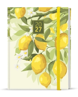 Diář týdenní B6 Lamino - Citron - blok Prokop
