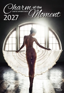 Kalendář nástěnný Charm of the Moment N277